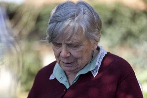 colombini leda